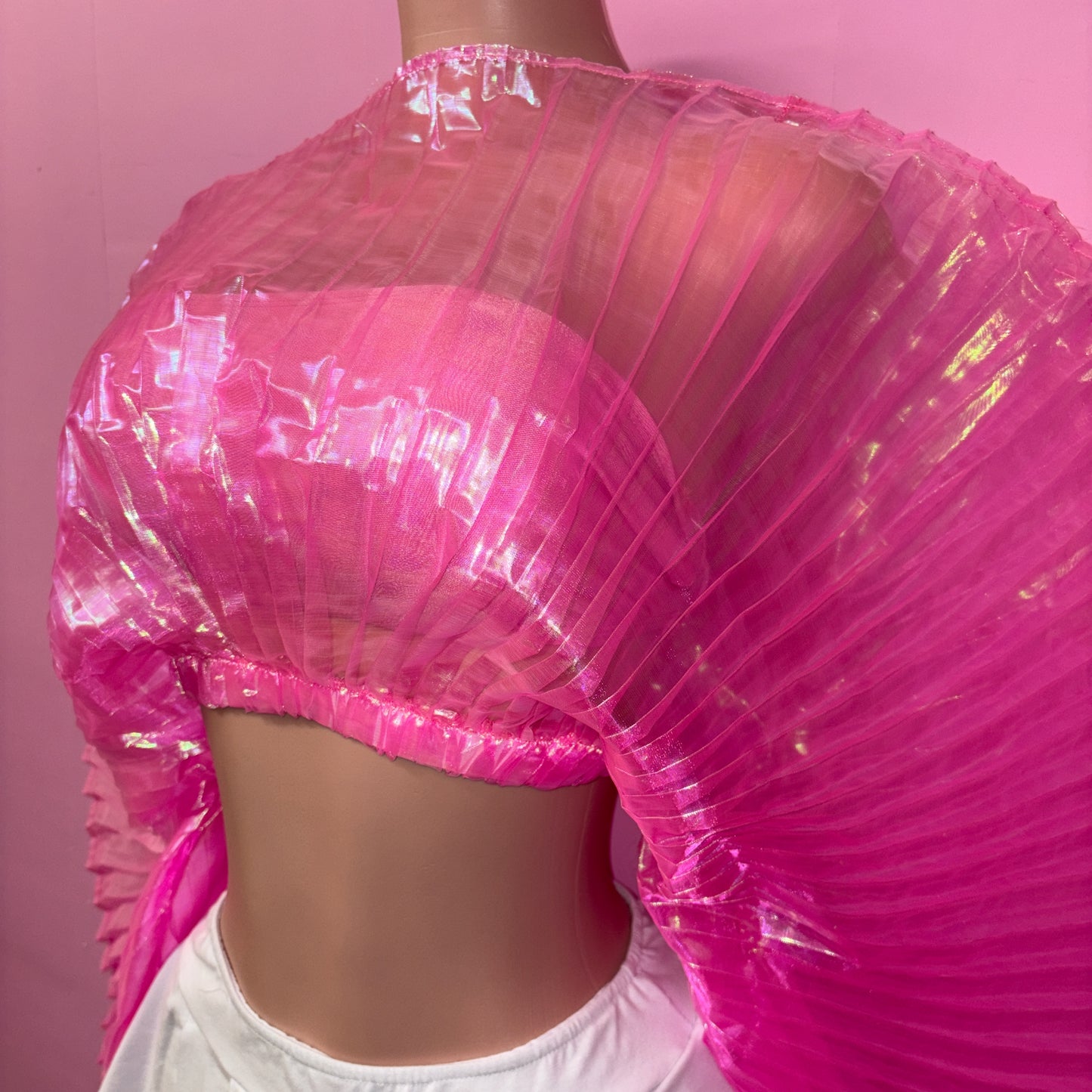 Enchanted Wings Top